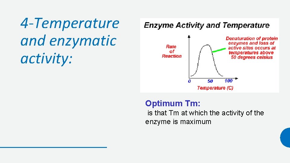 4 -Temperature and enzymatic activity: Optimum Tm: is that Tm at which the activity