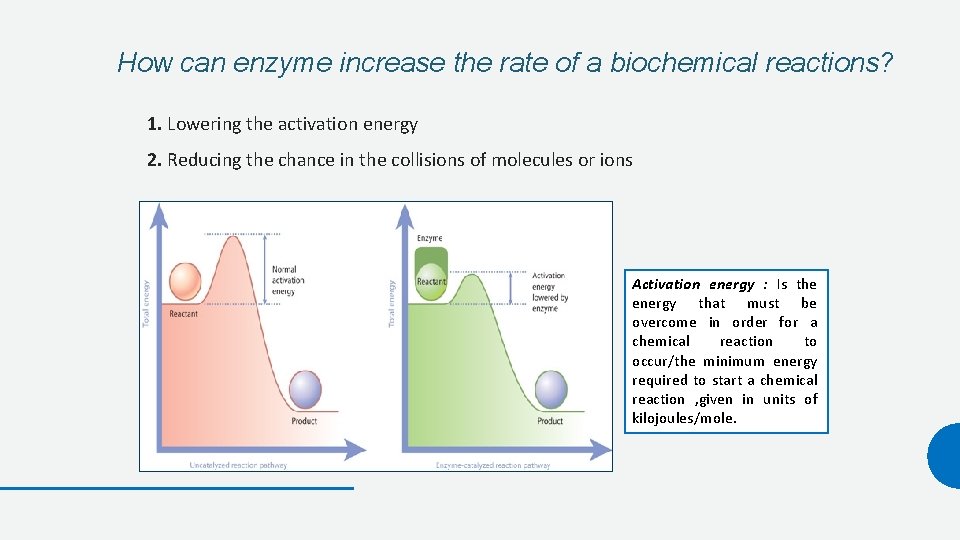 How can enzyme increase the rate of a biochemical reactions? 1. Lowering the activation