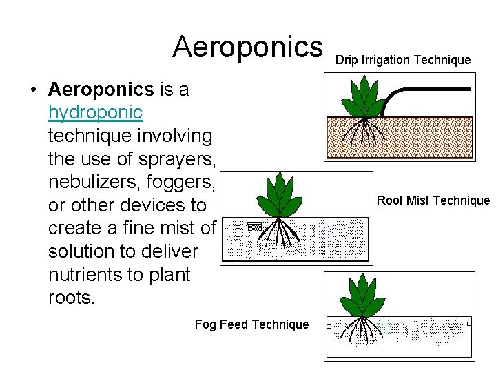 Aeroponics • Aeroponics is a hydroponic technique involving the use of sprayers, nebulizers, foggers,