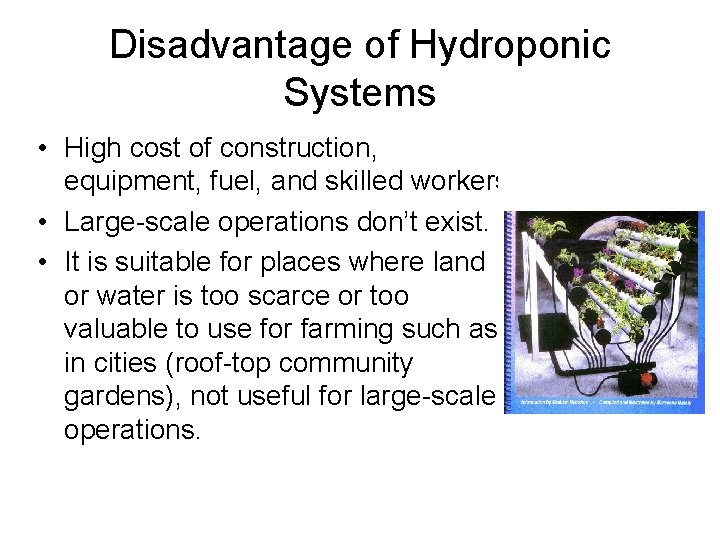 Disadvantage of Hydroponic Systems • High cost of construction, equipment, fuel, and skilled workers.