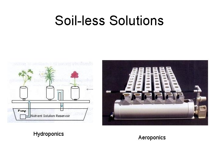 Soil-less Solutions Hydroponics Aeroponics 