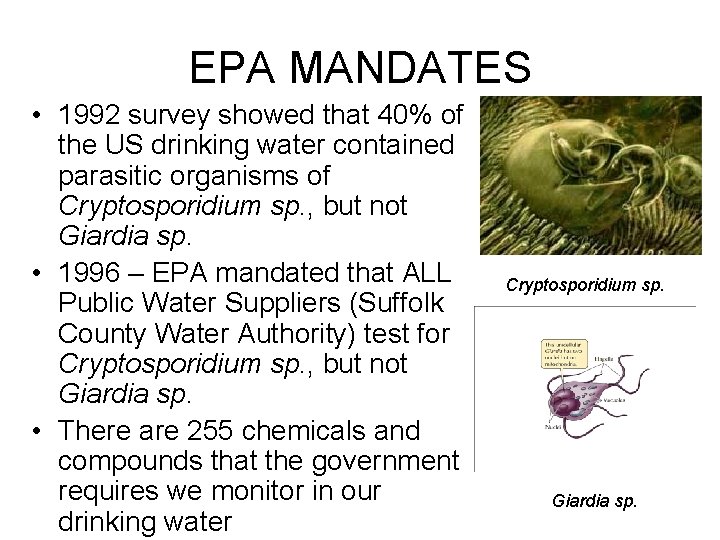 EPA MANDATES • 1992 survey showed that 40% of the US drinking water contained