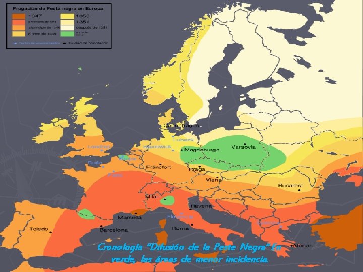 Cronología “Difusión de la Peste Negra” En verde, las áreas de menor incidencia. 