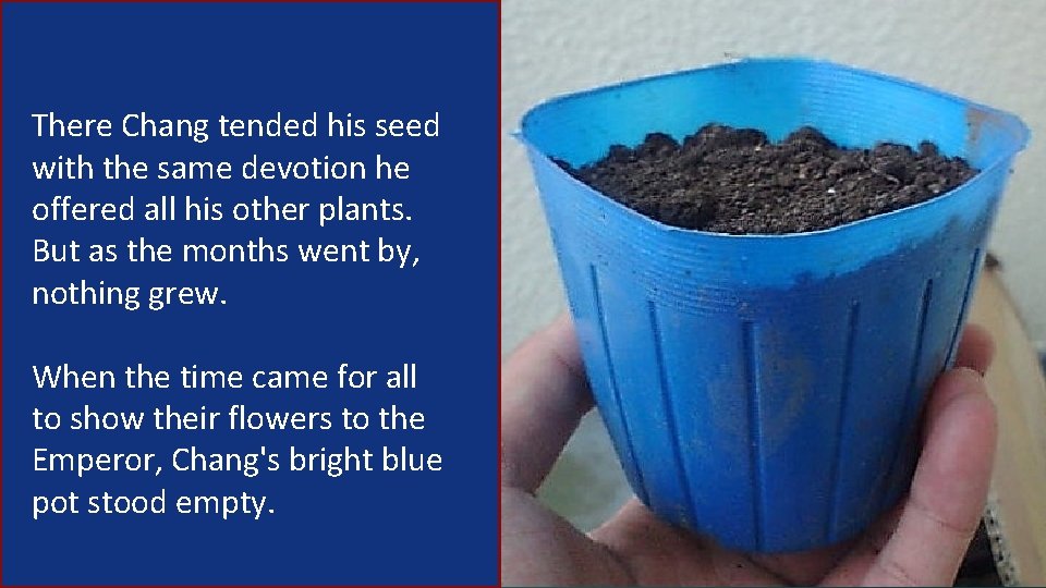 There Chang tended his seed with the same devotion he offered all his other There Chang tended his seed with the same devotion he offered all his other