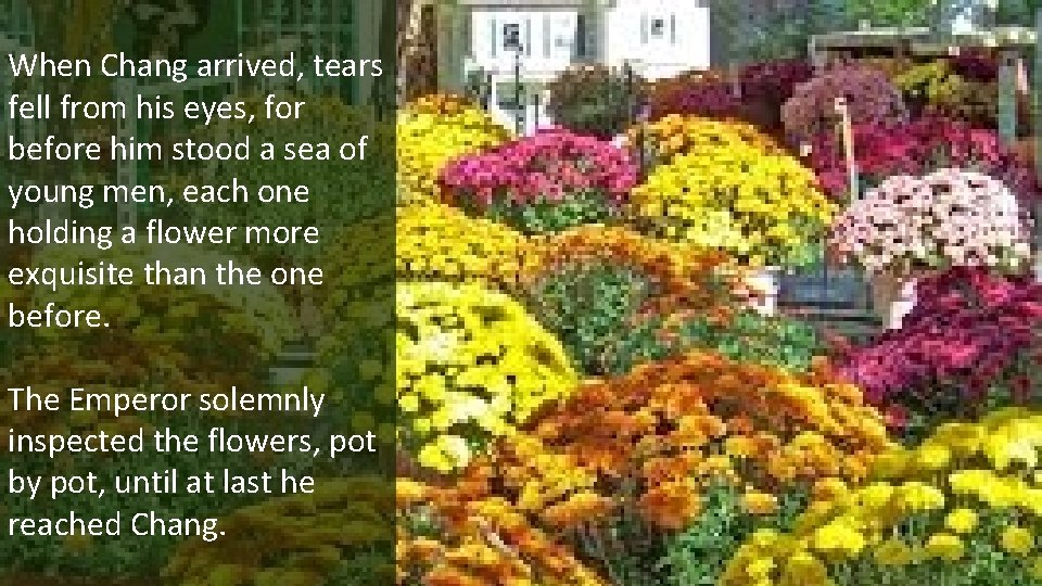 When Chang arrived, tears fell from his eyes, for before him stood a sea When Chang arrived, tears fell from his eyes, for before him stood a sea
