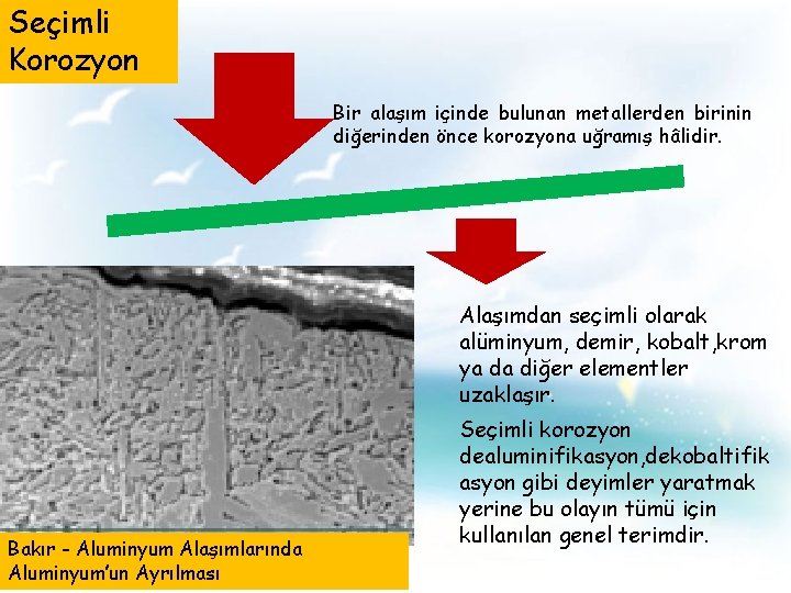 Seçimli Korozyon Bir alaşım içinde bulunan metallerden birinin diğerinden önce korozyona uğramış hâlidir. Alaşımdan