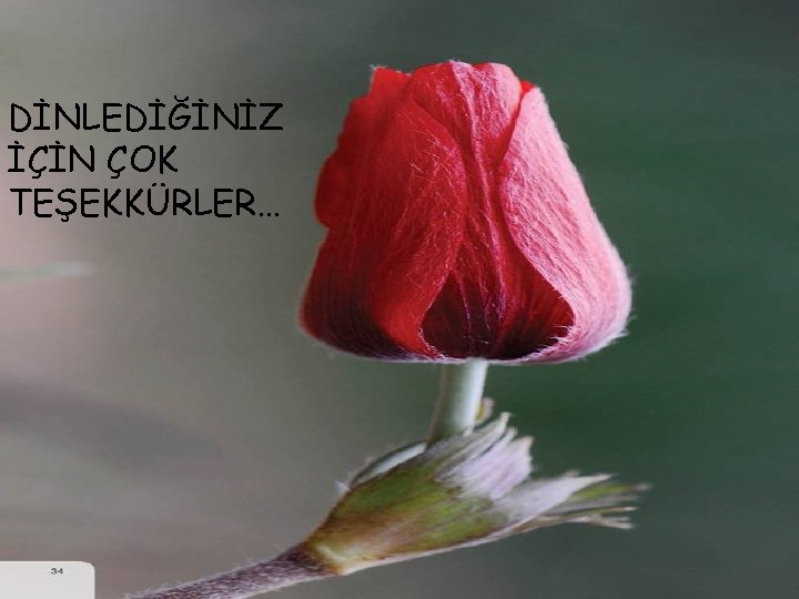 DİNLEDİĞİNİZ İÇİN ÇOK TEŞEKKÜRLER… 