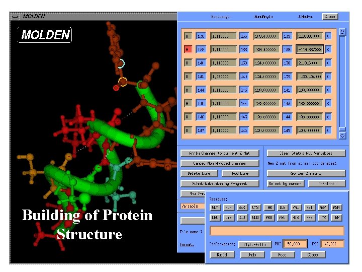Building of Protein Structure 
