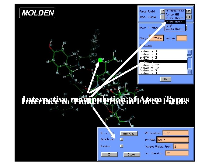 Interactive of. Force Atom Fields Types Interface to manipulation Tinker Protein 