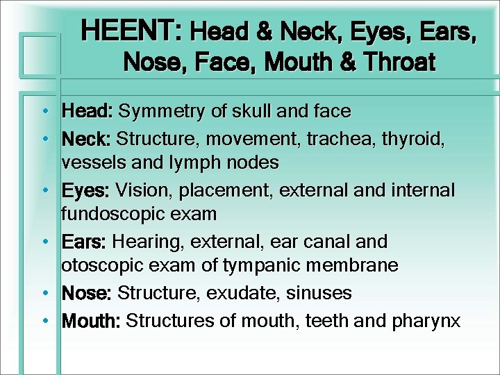 HEENT: Head & Neck, Eyes, Ears, Nose, Face, Mouth & Throat • Head: Symmetry