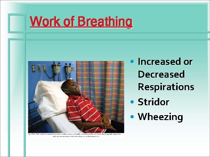 Work of Breathing • Increased or Decreased Respirations • Stridor • Wheezing 