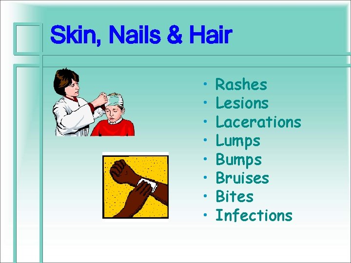 Skin, Nails & Hair • • Rashes Lesions Lacerations Lumps Bruises Bites Infections 