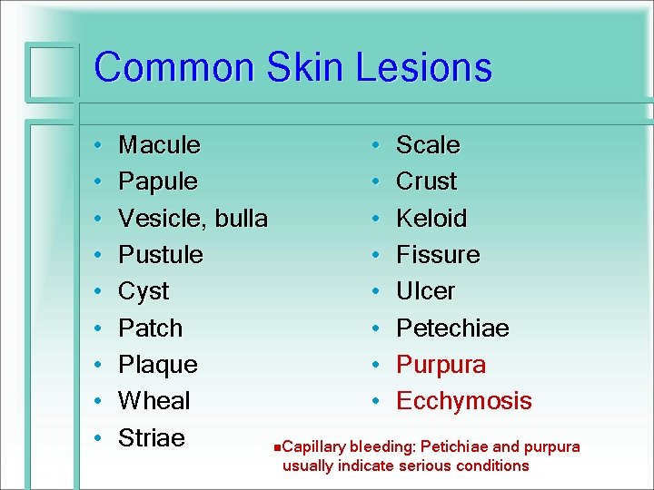 Common Skin Lesions • • • Macule • Scale Papule • Crust Vesicle, bulla