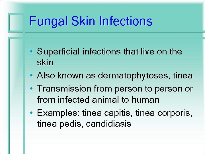 Fungal Skin Infections • Superficial infections that live on the skin • Also known