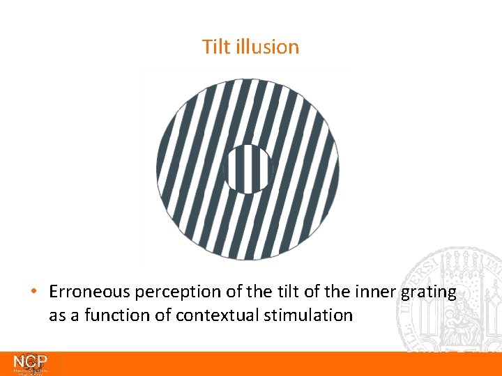 Tilt illusion • Erroneous perception of the tilt of the inner grating as a