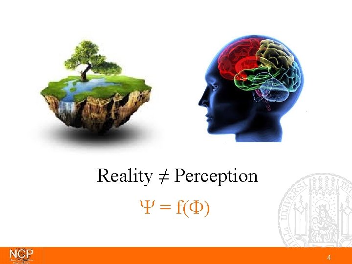 Reality ≠ Perception = f( ) 4 