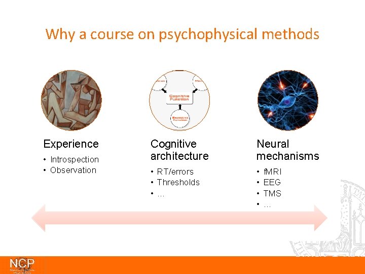 Why a course on psychophysical methods Experience • Introspection • Observation Cognitive architecture Neural