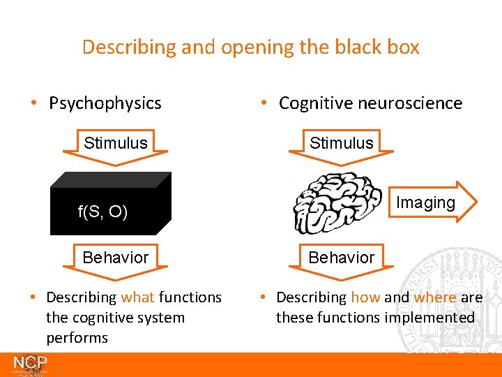 Describing and opening the black box • Psychophysics Stimulus • Cognitive neuroscience Stimulus Imaging