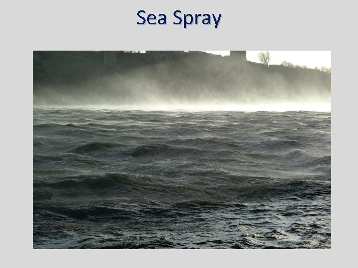 Sea Spray 