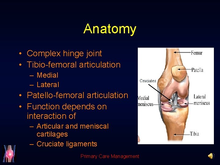 Anatomy • Complex hinge joint • Tibio-femoral articulation – Medial – Lateral Cruciates •