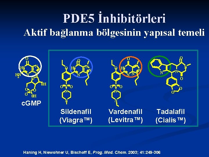 PDE 5 İnhibitörleri Aktif bağlanma bölgesinin yapısal temeli O N HN H 2 N