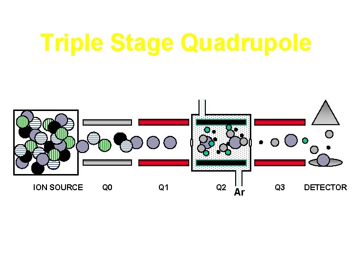 Triple Stage Quadrupole ION SOURCE Q 0 Q 1 Q 2 Ar Q 3