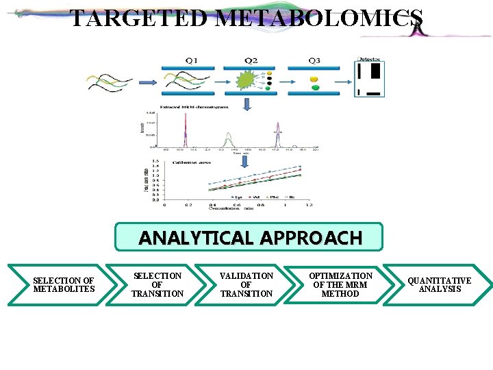 TARGETED METABOLOMICS ANALYTICAL APPROACH SELECTION OF METABOLITES SELECTION OF TRANSITION VALIDATION OF TRANSITION OPTIMIZATION