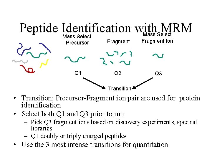 Peptide Identification with MRM Mass Select Precursor Fragment Ion Q 1 Q 2 Q