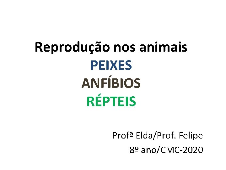 Reprodução nos animais PEIXES ANFÍBIOS RÉPTEIS Profª Elda/Prof. Felipe 8º ano/CMC-2020 