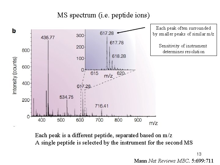 MS spectrum (i. e. peptide ions) Each peak often surrounded by smaller peaks of