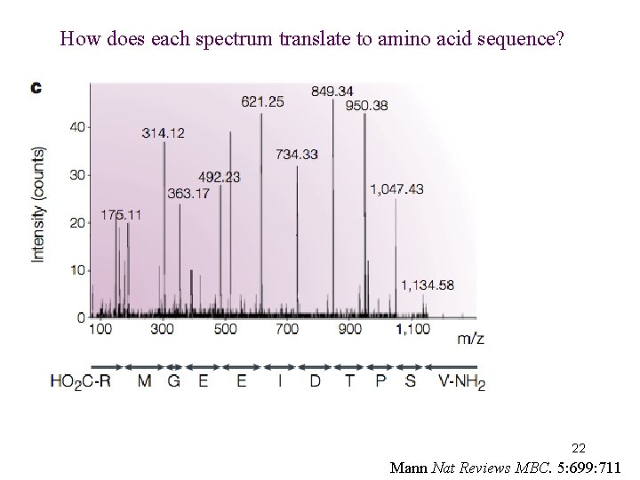 How does each spectrum translate to amino acid sequence? 22 Mann Nat Reviews MBC.