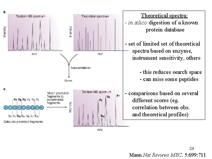 Theoretical spectra: - in silico digestion of a known protein database - set of