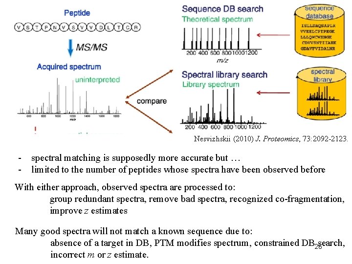 Nesvizhskii (2010) J. Proteomics, 73: 2092 -2123. - spectral matching is supposedly more accurate