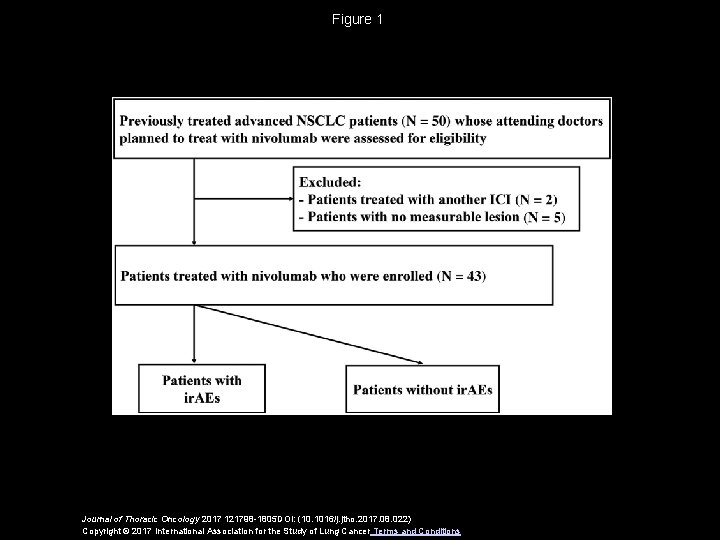 Figure 1 Journal of Thoracic Oncology 2017 121798 -1805 DOI: (10. 1016/j. jtho. 2017.