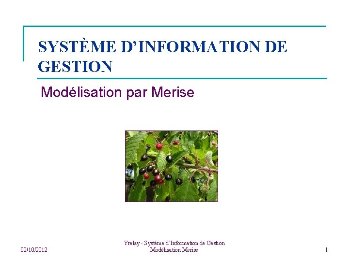 SYSTÈME D’INFORMATION DE GESTION Modélisation par Merise 02/10/2012 Yrelay - Système d’Information de Gestion
