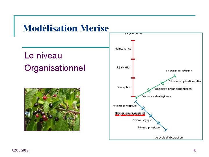 Modélisation Merise Le niveau Organisationnel 02/10/2012 40 