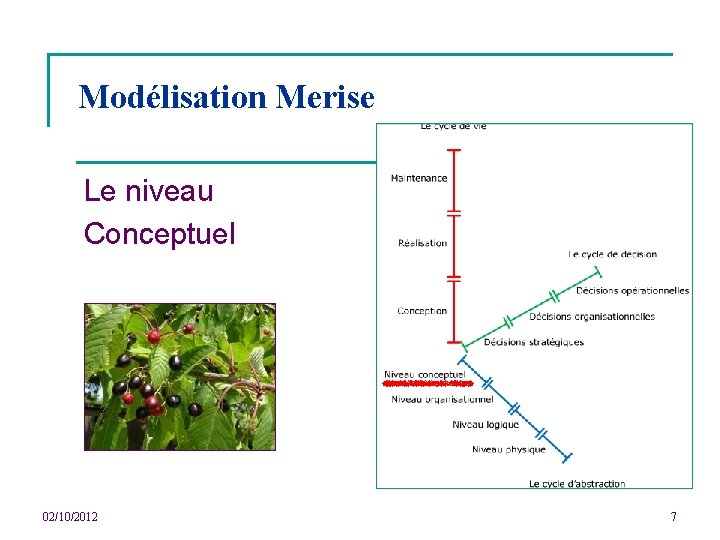 Modélisation Merise Le niveau Conceptuel 02/10/2012 7 