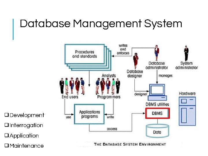 Database Management System ❑Development ❑Interrogation ❑Application ❑Maintenance 