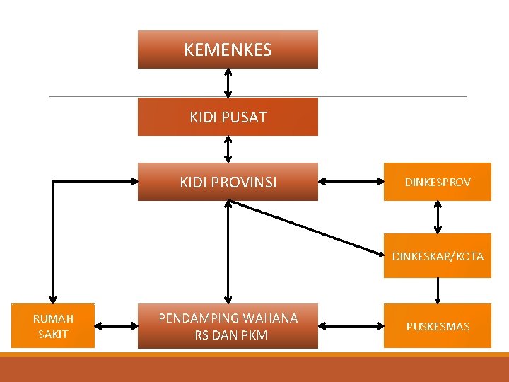 KEMENKES KIDI PUSAT KIDI PROVINSI DINKESPROV DINKESKAB/KOTA RUMAH SAKIT PENDAMPING WAHANA RS DAN PKM KEMENKES KIDI PUSAT KIDI PROVINSI DINKESPROV DINKESKAB/KOTA RUMAH SAKIT PENDAMPING WAHANA RS DAN PKM