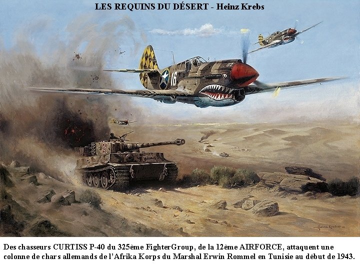 LES REQUINS DU DÉSERT - Heinz Krebs Des chasseurs CURTISS P-40 du 325ème Fighter.