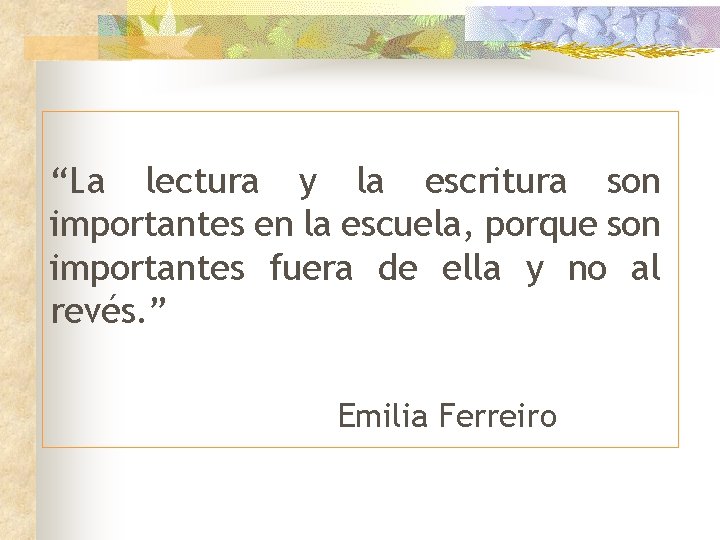 “La lectura y la escritura son importantes en la escuela, porque son importantes fuera
