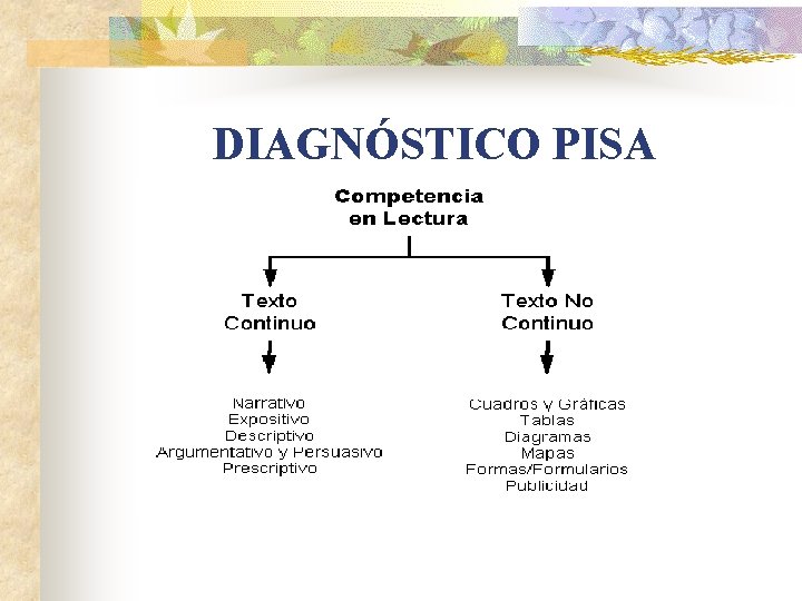 DIAGNÓSTICO PISA 