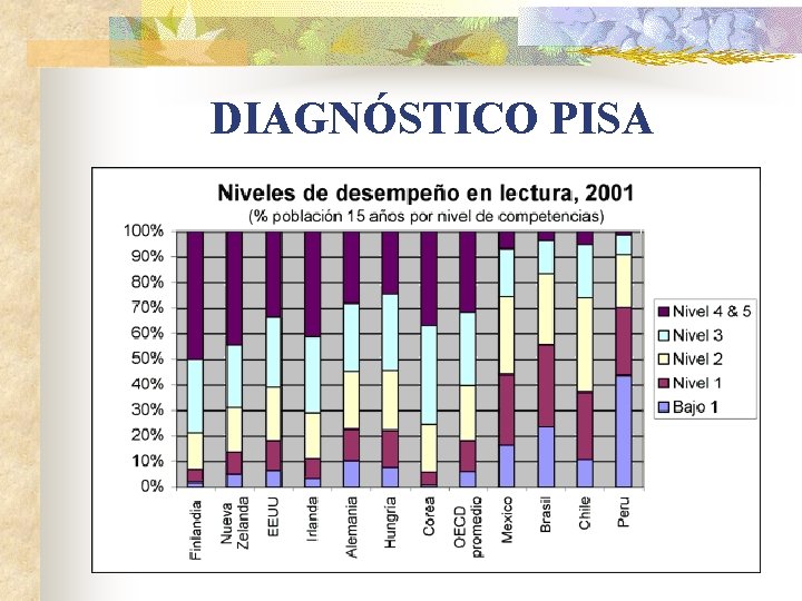 DIAGNÓSTICO PISA 