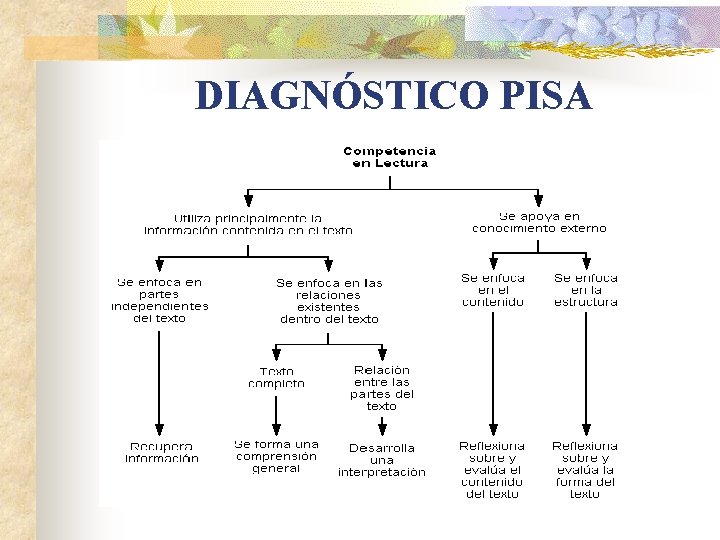 DIAGNÓSTICO PISA 