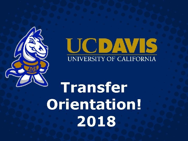 Transfer Orientation! 2018 Transfer Orientation! 2018