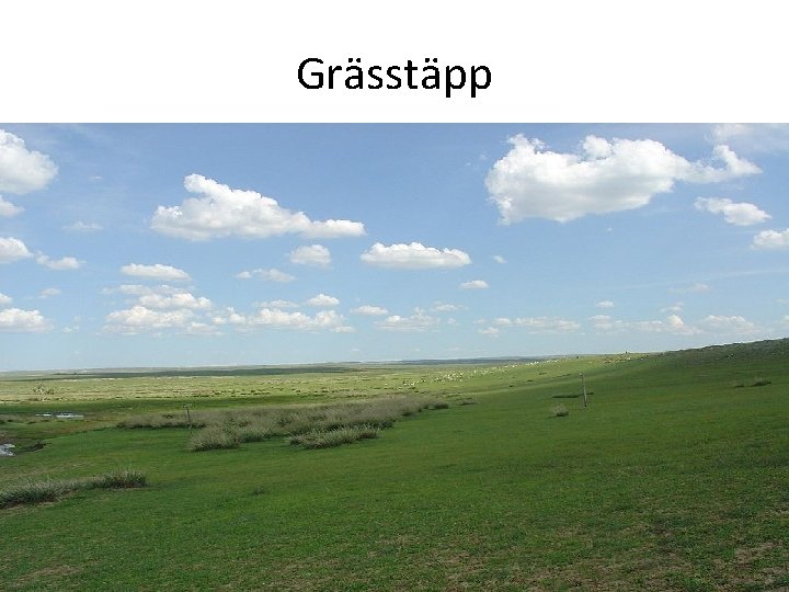 Grässtäpp 