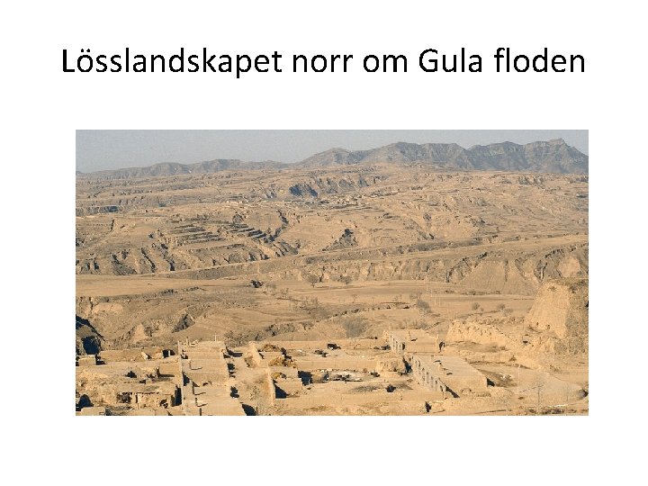 Lösslandskapet norr om Gula floden 