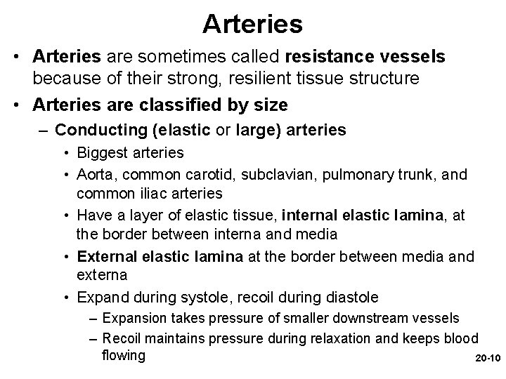 Arteries • Arteries are sometimes called resistance vessels because of their strong, resilient tissue