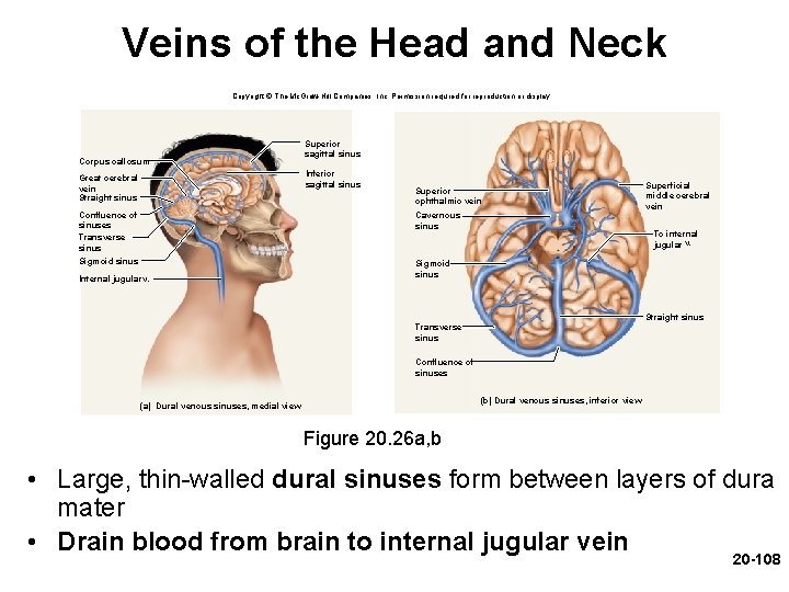 Veins of the Head and Neck Copyright © The Mc. Graw-Hill Companies, Inc. Permission