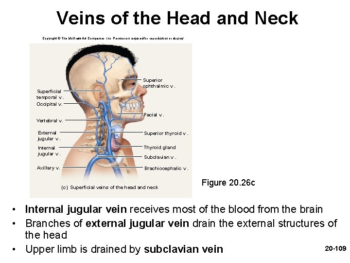  Veins of the Head and Neck Copyright © The Mc. Graw-Hill Companies, Inc.